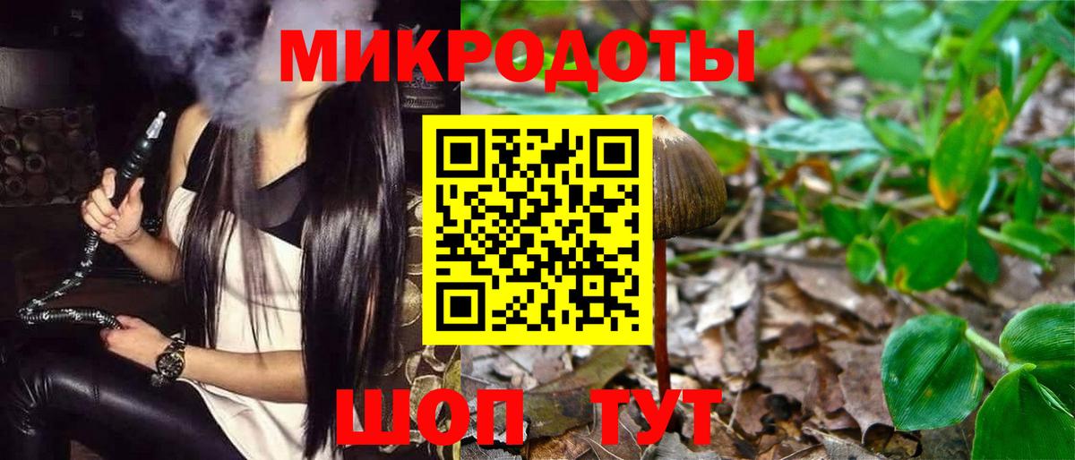 Галлюциногенные грибы Cubensis Кропоткин