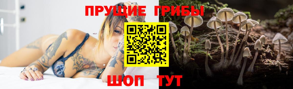 Кропоткин  Псилоцибиновые грибы Magic Shrooms  Вход с VPN 